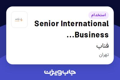  استخدام Senior International Business Development در فناپ