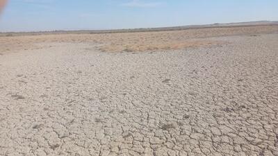 تالاب بندعلیخان خشک شد