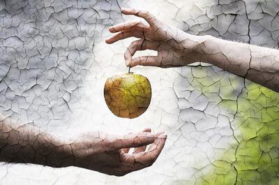 آیا نافرمانی آدم(ع) با عصمت او تناقض دارد؟