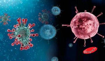  شیوع آنفلوانزا در این استان از حد هشدار گذشت - کلبه سرگرمی
