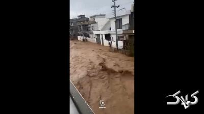 سیل خطرناک در کردستان عراق فاجعه آفرید +ویدیو - مجله اینترنتی کولاک