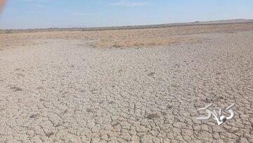 تالاب بندعلیخان خشک شد - مجله اینترنتی کولاک