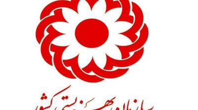 شرایط فرزندان بهزیستی بعد از ترخیص؛ امکان سکونت دختران تا ۲۵ سالگی در خانه‌های آماده‌سازی - مردم سالاری آنلاین