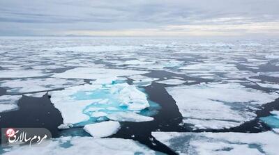 چرا انسان‌ها نمی‌توانند در قطب شمال زندگی کنند؟ - مردم سالاری آنلاین