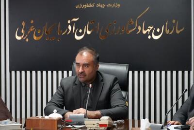  اصغری:۳۱هزار رأس دام آذربایجان غربی زیرپوشش طرح افزایش تولید قرار گرفت