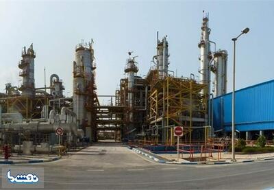 افزایش ۳۱ درصدی درآمد پتروشیمی مروارید | نفت ما