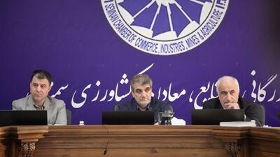  نیروگاه‌های خورشیدی به عنوان وثیقه معتبر در نظام بانکی پذیرفته شود | هشدار درباره بحران انرژی و آب