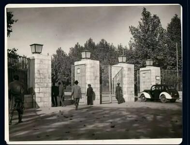  روزهای دانشجویی پزشکیان، عارف و شریعتی