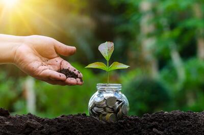 چشم‌انداز «مالی سبز»، طلوع پارادایمی نو در جهان