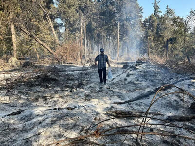 انفعال سازمان محیط‌زیست در بحران «الیت»