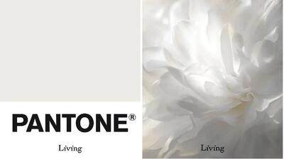 رنگ سال 2026 چیست؟ چرا رنگ جدید هیچ رنگی ندارد؟ / فیلم