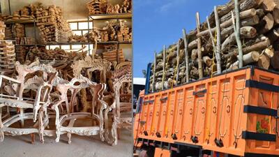 بحران خاموش در صنعت مبلمان / زنگ خطر برای جنگل‌ ها ایران