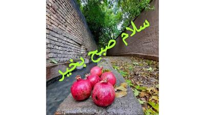  طالع بینی امروز 18 آذر برای متولدین هر ماه چیست؟