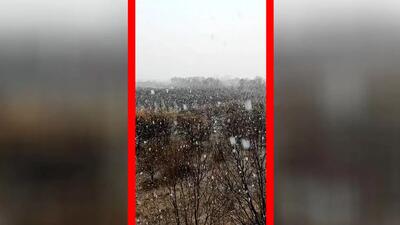  فیلم آغاز بارش برف در اشنویه