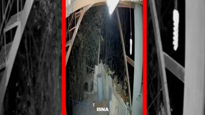  فیلم ورود خرس به منزل مسکونی در خطیرکوه سمنان