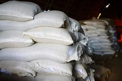 برنج‌های پاکستانی و هندی نایاب شد