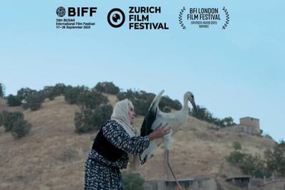 رقابت مستند «بال‌های آوازخوان» در ۳ جشنواره جهانی