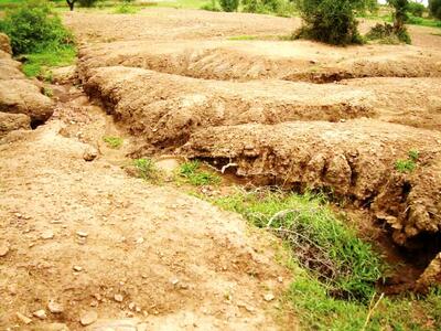 فرسایش خاک ۱۰ برابر ظرفیت طبیعی است