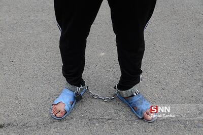 دستگیری عامل قدرت نمایی در مسعودیه + فیلم