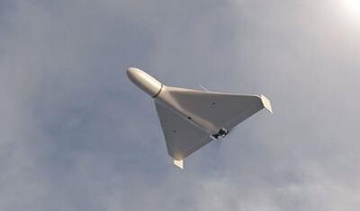 کپی برداری از شاهد به چین هم رسید!