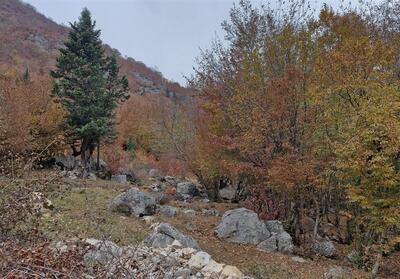 آمادگی کامل شهرداری شیراز برای نخستین بارش‌های پاییزی - تسنیم