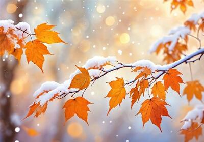 هواشناسی ایران 1404/9/18؛ هشدار نارنجی بارش برف و باران در 20 استان - تسنیم