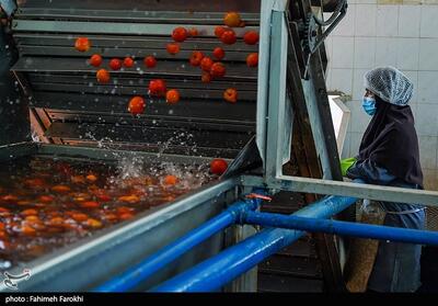  جای خالی صنایع تبدیلی در محصولات راهبردی/590 واحد جدید در گلستان ایجاد می‌شود - تسنیم