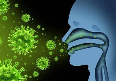 وضعیت ابتلا به آنفلوآنزا در شمال بحرانی شد/ تعداد بیماران بستری ‌به 355 نفر رسید‌ - تسنیم