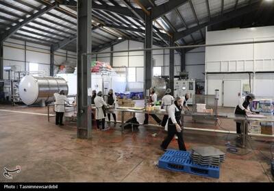 تصویب 11 طرح تولیدی در کارگروه زیربنایی لرستان - تسنیم