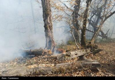 گزارش مجلس درباره علل آتش سوزی جنگل هیرکانی منطقه الیت - تسنیم