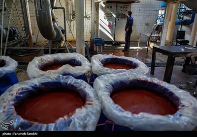 افشای یک تقلب گسترده؛ رب غیر استریل جای صادرات رب اسپتیک را گرفت - تسنیم