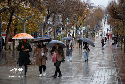 چتر باران بر سر مردم