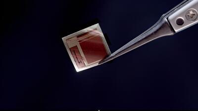  ساخت تراشه ایمپلنت مغزی به ضخامت کاغذ با ۶۵ هزار الکترود