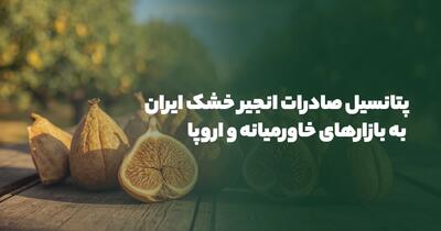 پتانسیل صادرات انجیر خشک ایران به بازارهای خاورمیانه و اروپا: فرصت های استراتژیک برای تجارت جهانی