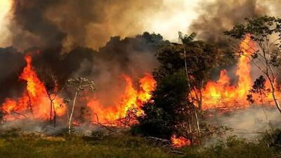 گزارش کمیسیون کشاورزی مجلس درباره بررسی علل آتش‌سوزی جنگل الیت