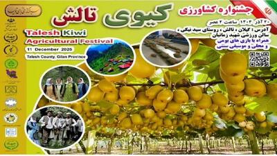  برگزاری جشنواره کیوی در غرب گیلان
