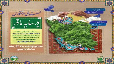  برگزاری پویش «در سایه مادر» در خراسان جنوبی