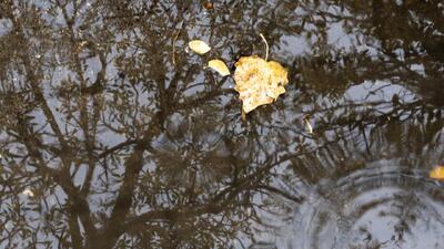 کسری ۴۰ میلی‌متری بارندگی/ بارش‌های پیش‌ِرو جبران‌کننده نیستند