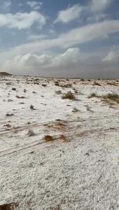 شمال عربستان سعودی سفیدپوش شد/فیلم