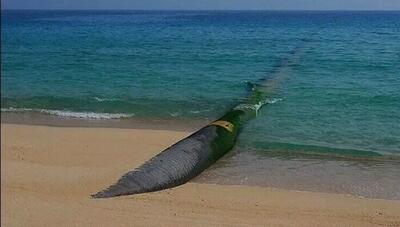 رئیس‌جمهور: انتقال آب‌ دریا به فلات مرکزی اقدامی اضطراری برای حفاظت از زاینده‌رود بود