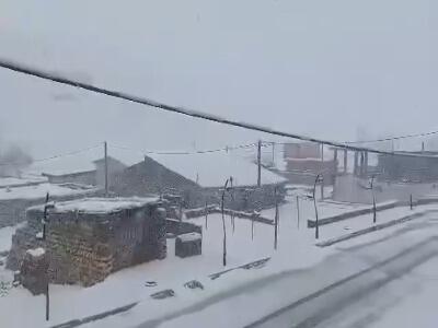 بارش برف کوهرنگ را سفیدپوش کرد