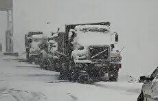 گرفتار شدن دهها خودرو ناشی از بارش برف مرز تمرچین