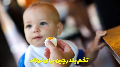  تخم بلدرچین برای نوزاد از چند ماهگی مجاز است؟ چه فوایدی برای نوزاد دارد؟