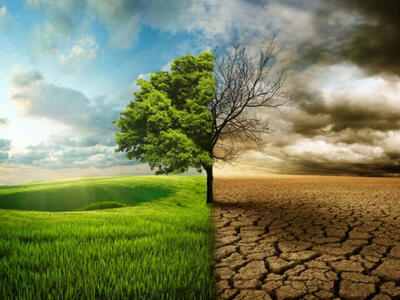 روایت‌های مستند در مواجهه تغییراقلیم و صنعت آب و نیرو