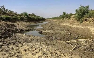  تالاب هورالعظیم بستر مستعد آتش سوزی