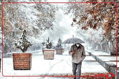  بارش زیبای برف در نهاوند؛ همدان