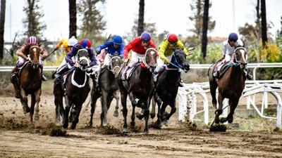  آغاز هفته پنجم کورس پاییزه گنبدکاووس با شرکت ۲۰۱ اسب