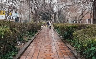 بارش پراکنده در تهران تا یکشنبه؛ ارتفاعات یخبندان می‌شود