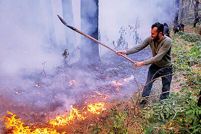 متهمان «الیت» از نگاه بهارستان