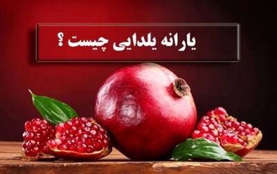 یارانه 4میلیونی یلدایی در راه است؟ + همه واریزی های دولت تا یلدا